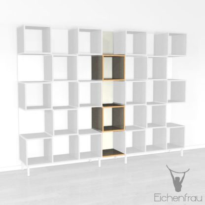 Eichenfrau Büroschrank form500-33 Multiplex Limette 01
